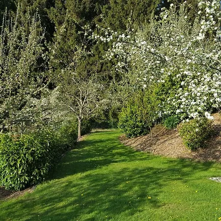 Am Waldrand Apartment Herdwangen-Schonach