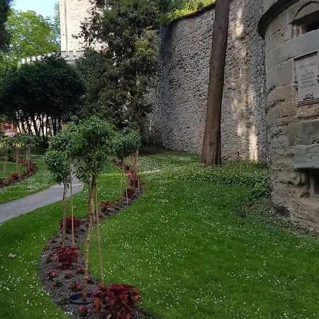 Am Waldrand Herdwangen-Schonach